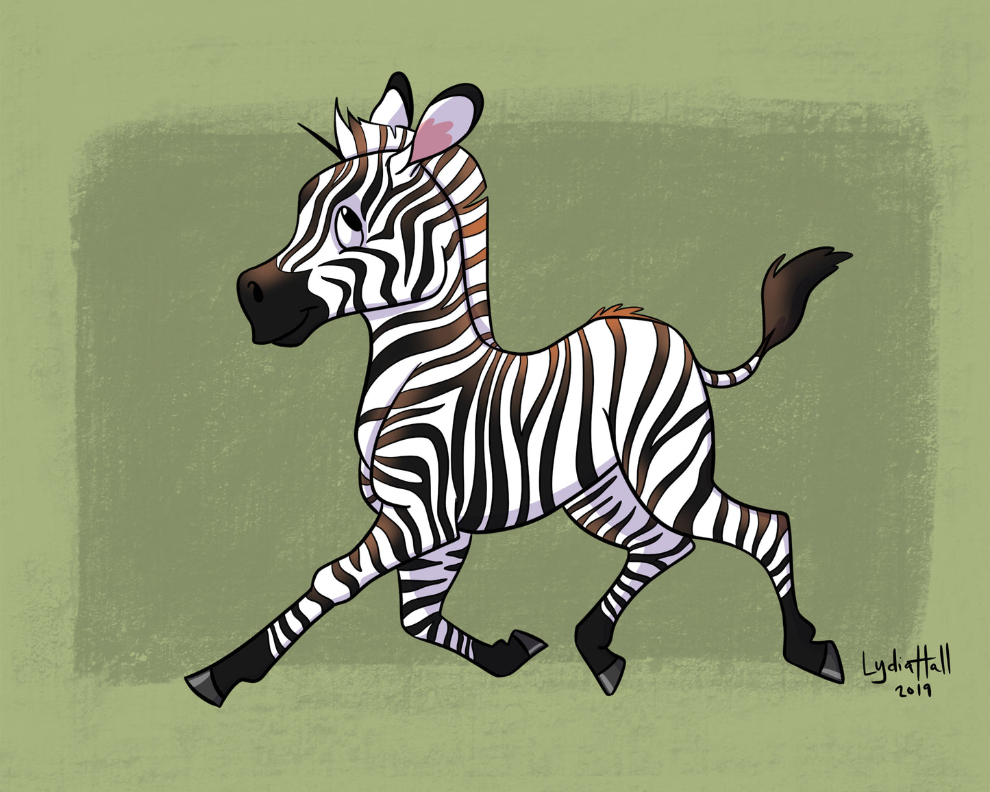 Baby Zebra - Art Print