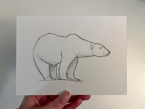 Original Sketchbook Illustration - Polar Bear