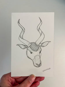 Original Sketchbook Illustration - Antelope