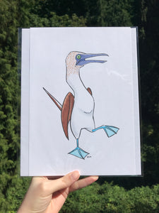 Original Ink Illustration - Blue Footed Booby